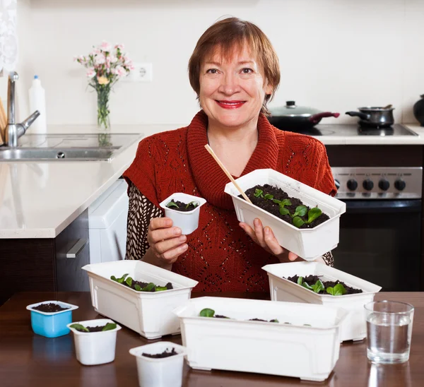 Reife Frau arbeitet mit Sämlingen — Stockfoto