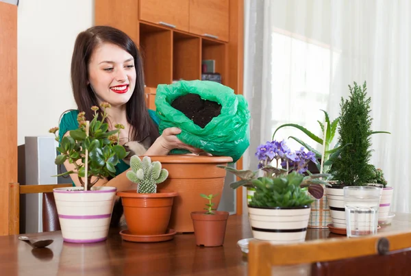 Femme faisant du travail dans un petit jardin à la maison — Photo