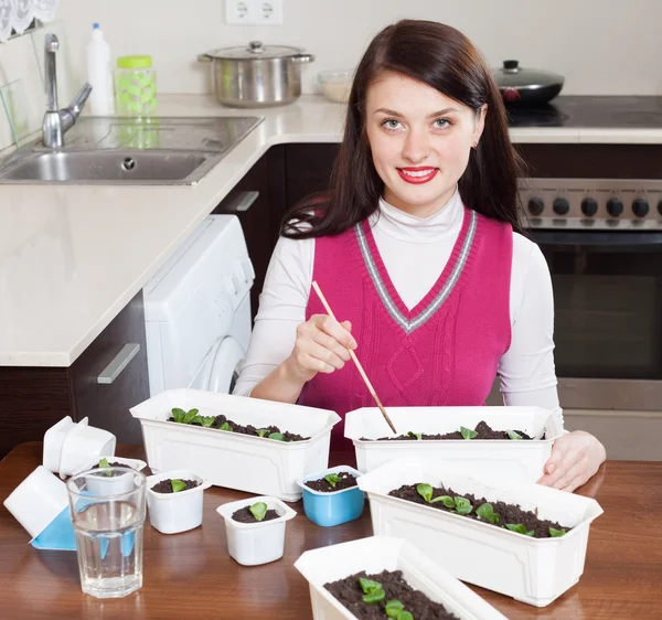 Fille travaillant avec des semis dans des pots — Photo