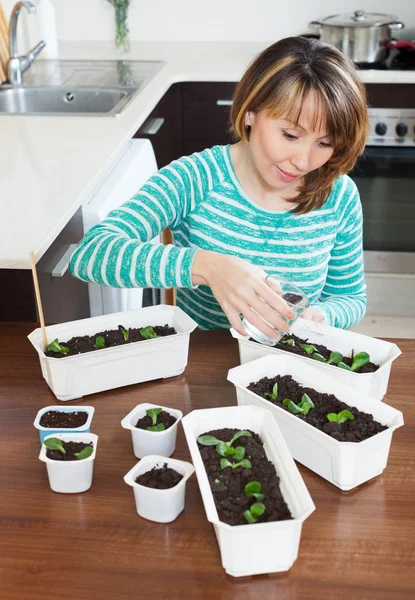 Jardinero en brotes de riego verde — Foto de Stock