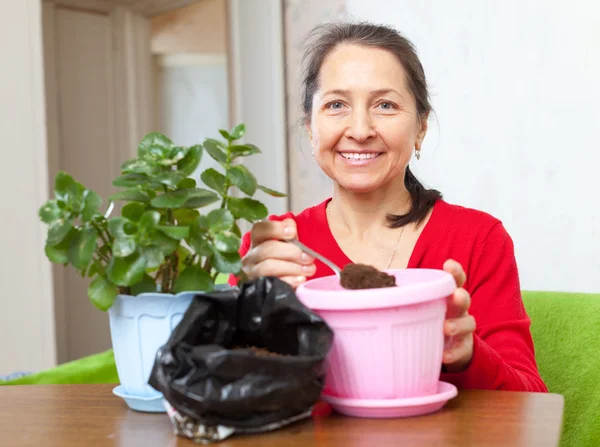 Donna lavora con vasi di fiori — Foto Stock