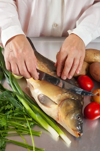 Koch kocht Karpfen Fisch — Stockfoto