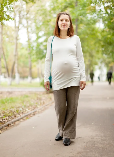 Pregnant woman walks in summer park Royalty Free Stock Images