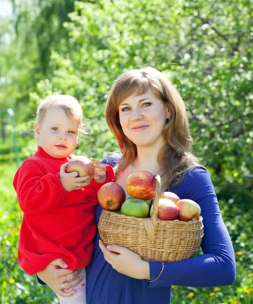 Familie mit Apfelernte — Stockfoto