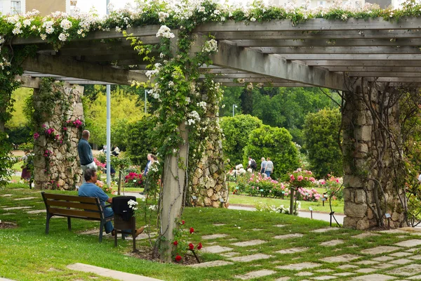 Parco di Cervantes — Foto Stock