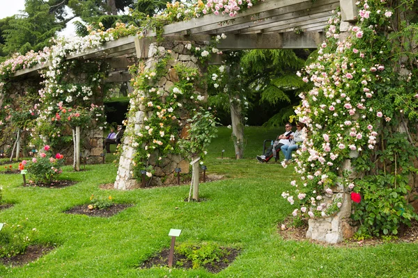 Barcelona'da Parc de cervantes. Katalonya — Stok fotoğraf