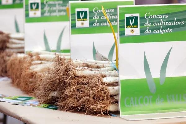 Competition for the best grown onions in Valls — Stock Photo, Image