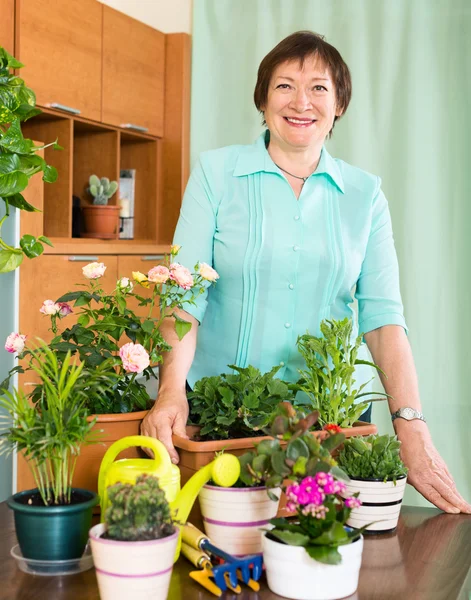 Reife Frau kümmert sich um Blumen — Stockfoto