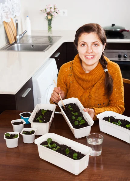 Girl in kitchen with seedlings — Stock Photo, Image