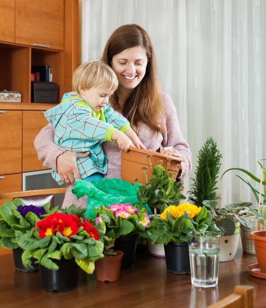 Giardiniere femminile trapianto di fiori in vaso — Foto Stock