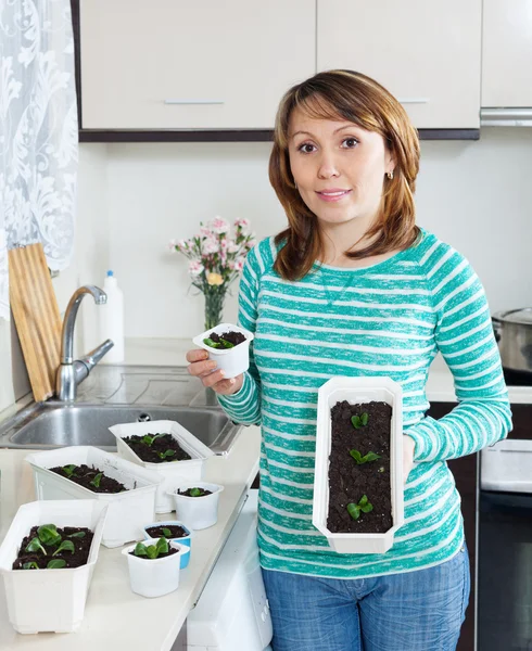 Jardinero trabajando con plántulas — Foto de Stock