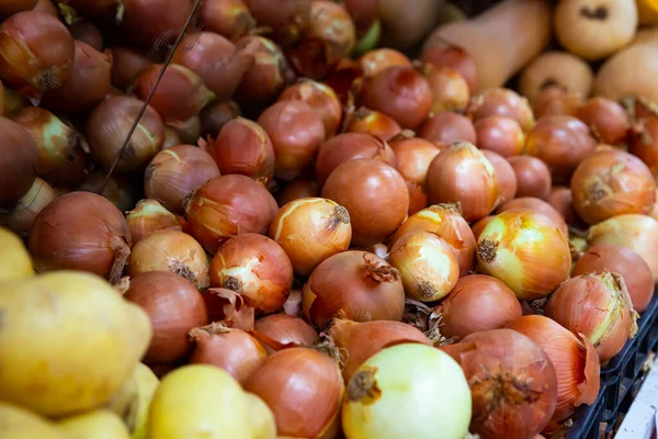 Montón de diferentes variedades de cebolla en contador de mercado — Foto de Stock