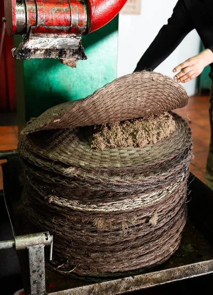 Operatör stapling fiber diskar med olivpasta — Stockfoto