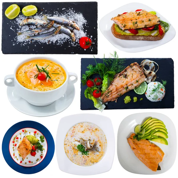 Conjunto de platos variados con pescado — Foto de Stock