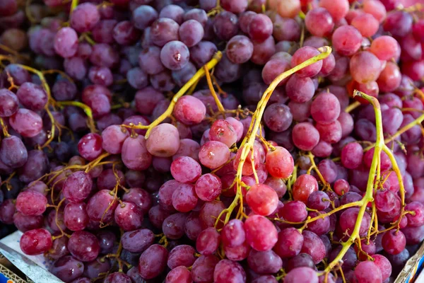 Ripe organic red grape in the product store — Stock Photo, Image