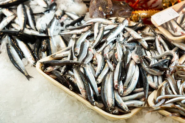 Fresh anchovies for sale at market — Stock Photo, Image