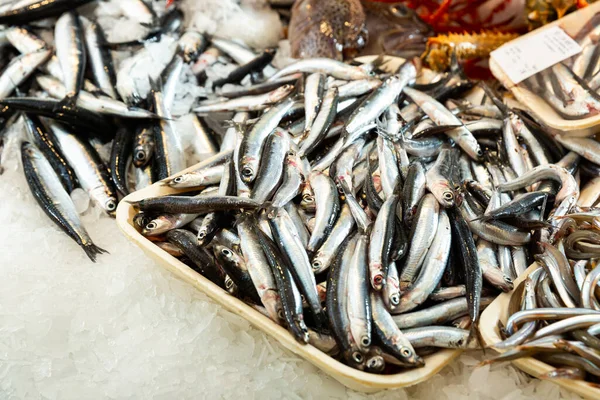 Anchovas frescas para venda no mercado — Fotografia de Stock