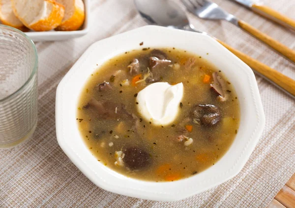 Sup jamur bergaya Rustik dengan daging babi, sayuran dan krim asam — Stok Foto