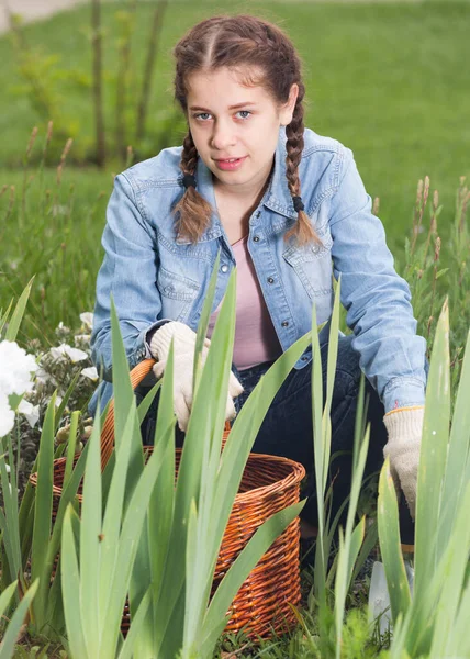 Happy young brunette girl with basket gardening in summer park — Stock Photo, Image