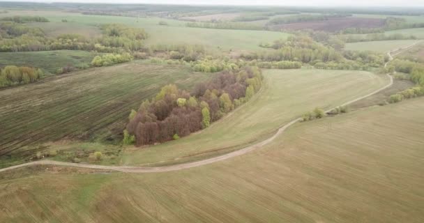 Vista panorâmica cênica dos campos e prados verdes da Rússia Central no dia de maio nublado — Vídeo de Stock