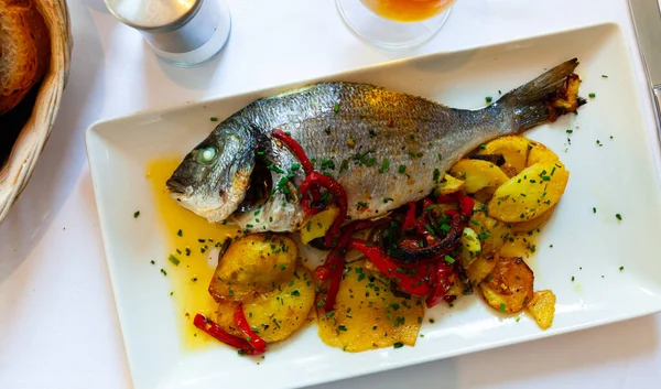 Dorado Gebakken Oven Geserveerd Met Paprika Groene Aardappelen Hoge Kwaliteit — Stockfoto