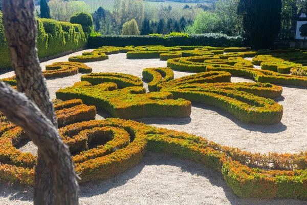 Giardini Casa Mateus Tenuta Vila Real Portogallo — Foto Stock