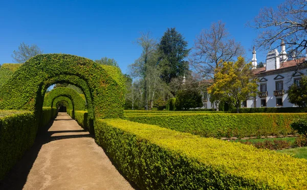 葡萄牙Vila Real Mateus宫风景园林 几何图形为黄杨木树篱 — 图库照片