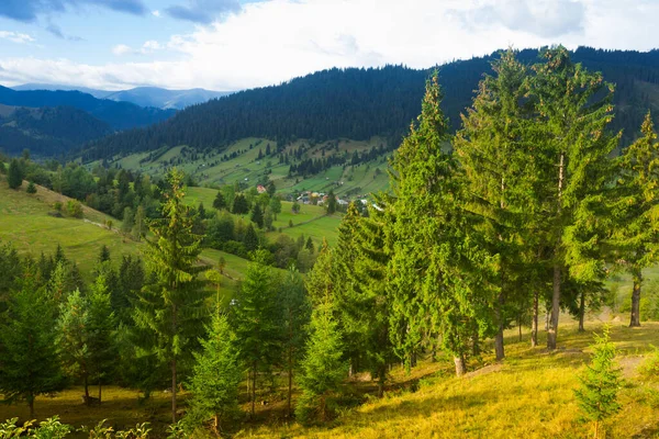 Imagen Karpaty Mountains Bucovina Rumania — Foto de Stock