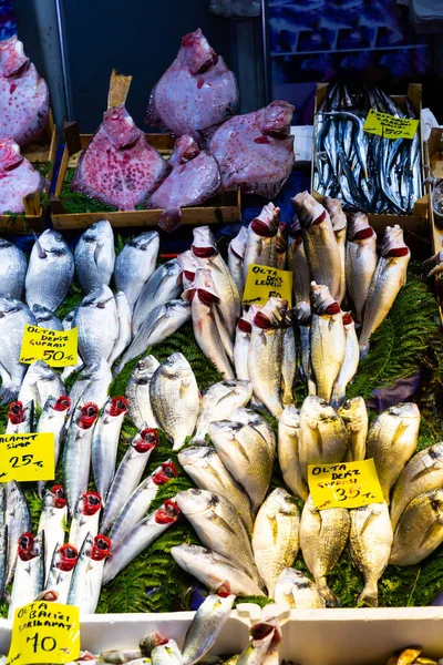 Fresh Fish Seafood Market Istanbul Price Tags Names Fish Turkish — Stock Photo, Image