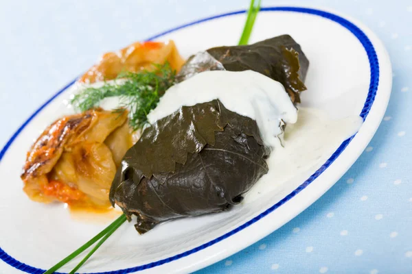 萨尔马 传统的保加利亚菜 大白菜和盛满米饭的葡萄 切碎的肉和蔬菜在盘子里吃 — 图库照片