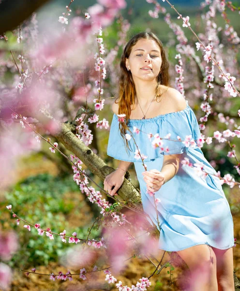 若いです可愛いですアメリカ人女性で青いドレスで春の庭にポーズ — ストック写真