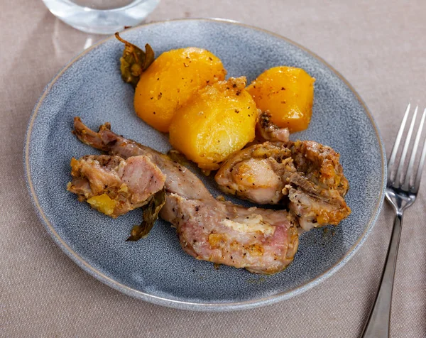 Prato Apetitoso Coelho Cozido Com Temperos Batatas Fervidas — Fotografia de Stock