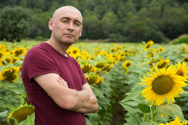 Porträtt Medelålders Man Poserar Solrosor Fält Sommardagen — Stockfoto