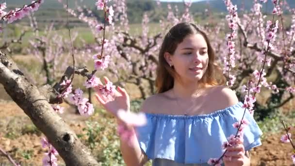 Chica Europea Positiva Vestido Azul Pie Bajo Melocotonero Flor Soleado — Vídeo de stock