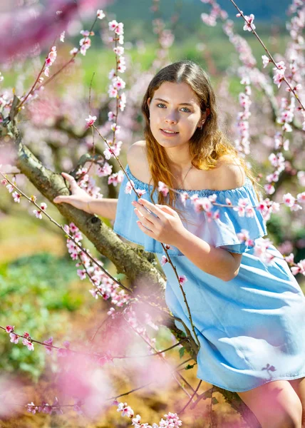 Dívka Jarní Zahradě Broskev Modrých Šatech — Stock fotografie