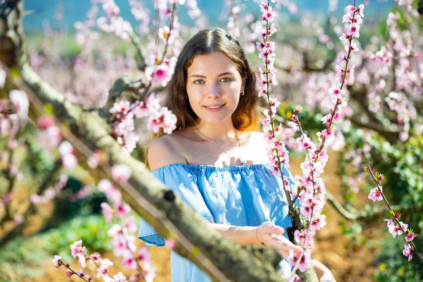 Young Pretty American Woman Blue Dress Posing Blossom Spring Garden — Stock Photo, Image