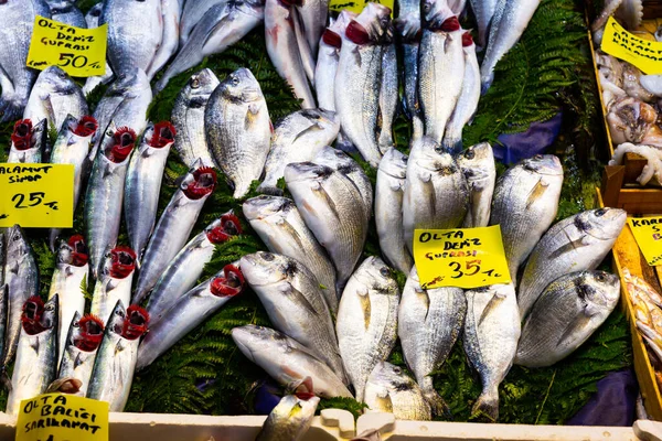 Assortment Fresh Fish Seafood Market Showcase Istanbul Price Tags Product — Stock Photo, Image