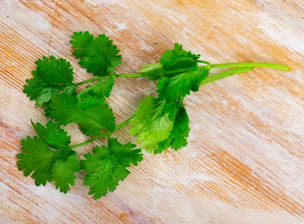 Sprig Verse Koriander Liggend Een Houten Ondergrond Voorgrond Beeld — Stockfoto