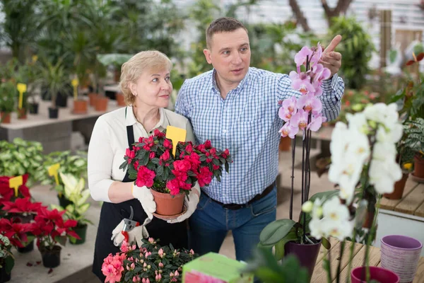 Mujer Jardinero Está Ayudando Cliente Masculino Con Flor Elección Naranjería —  Fotos de Stock