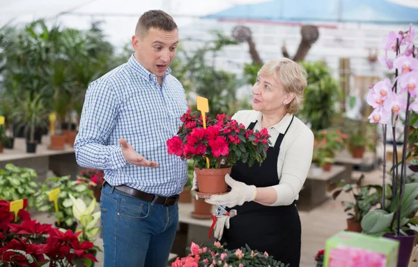 Mujer Jardinero Está Ayudando Cliente Masculino Con Flor Elección Naranjería —  Fotos de Stock