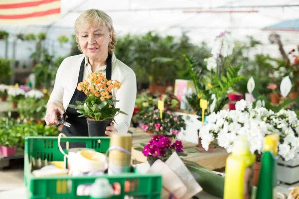 Portret Van Vrouwelijke Tuinman Met Bloeiende Bloem Die Voor Hen — Stockfoto