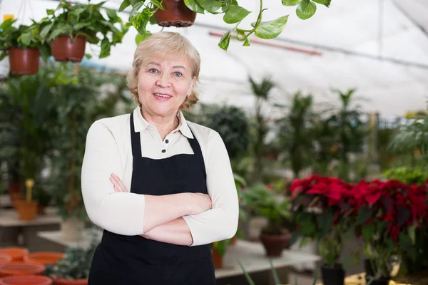 Portret Van Een Vrouwelijke Tuinman Die Samenwerkt Oranjerie — Stockfoto