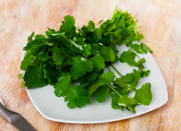 Friss Cilantro Egy Fehér Tányéron Egy Asztalon Összetevők Főzéshez — Stock Fotó