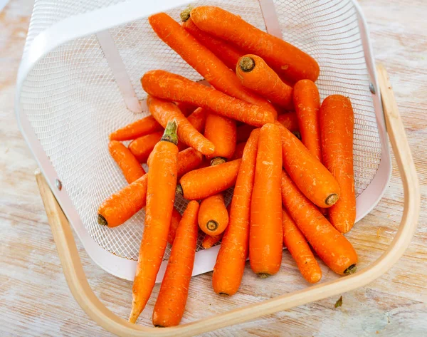 Raw Unpeeled Carrots Plastic Bucket Wooden Table — Stock Photo, Image