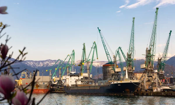 Vista Porto Mar Batumi Com Guindastes Industriais Navios Carga Através — Fotografia de Stock