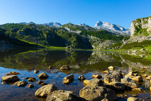 Serene Landscape One Lakes Covadonga Mountain Range Summer Day — Stock Photo, Image