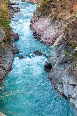 kırmızı kayaların akan dağ dere