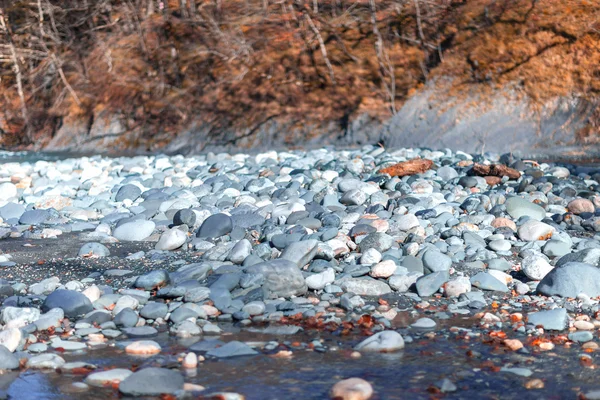 bir dağ nehir güneşli beyaz taşlar