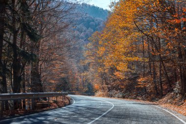 Mountain road in the autumn bright a sunny day clipart