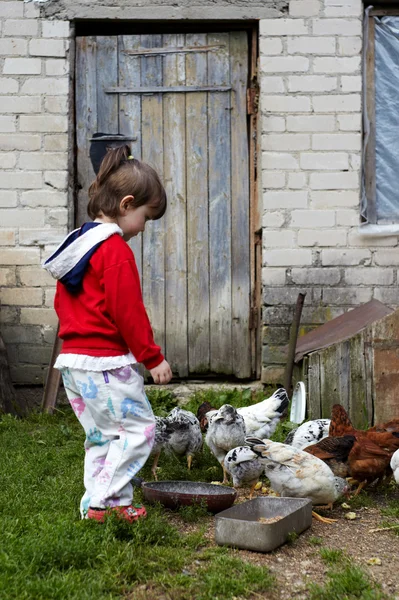 鶏に餌をやる少女 — ストック写真